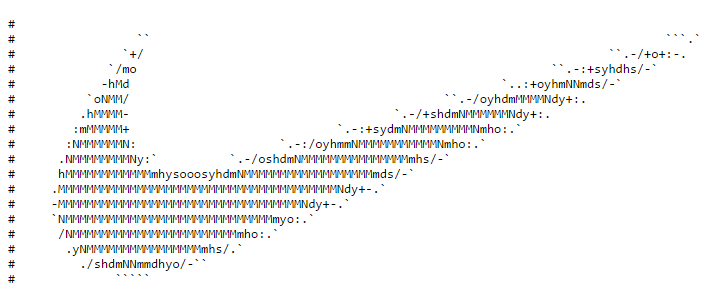 나이키의 robots.txt 파일
