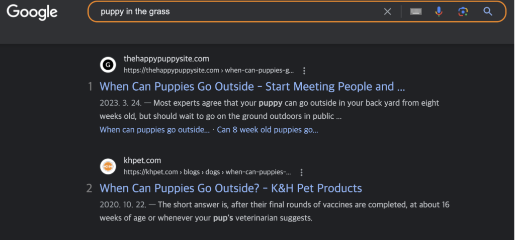 이미지 최적화 결과 에시로 puppy in the grass로 검색한 검색결과페이지