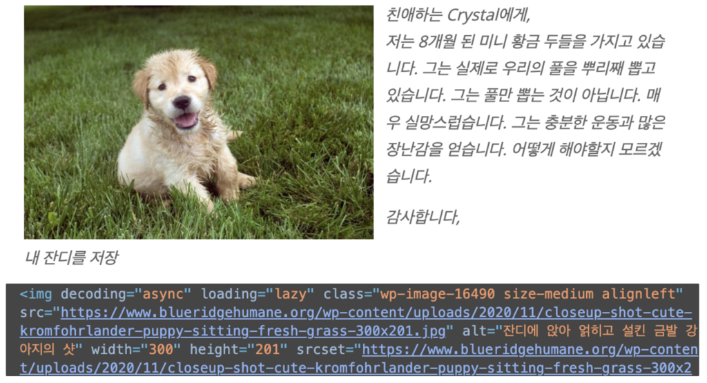 이미지 alt text 최적화 예시로 페이지 이미지와 html 소스코드